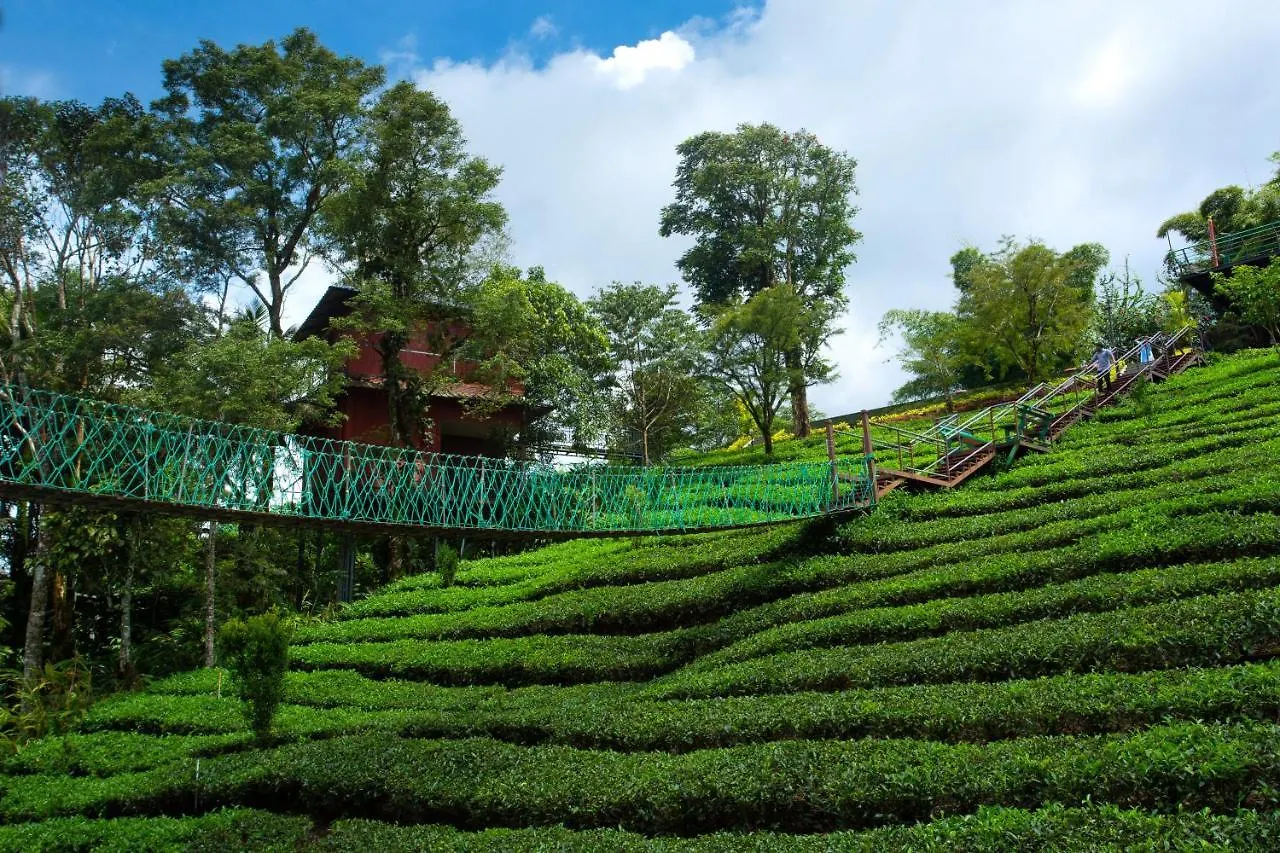 Dream Catcher Plantation Resort Munnar